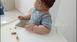 Baby Eater Messy