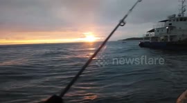 Early Morning Fishing with Friends