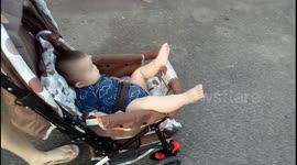 This baby sitting in stroller like a boss