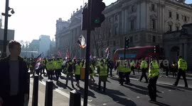Pro-Brexit Yellow Vest Demonstrators March In London