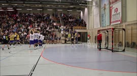 Pro handball player wins game with incredible last second goal