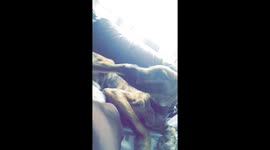 Dog fights his own foot