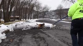 Search and rescue training K - 9