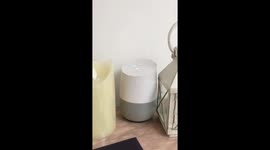 Google Home device gives bizarre answer to animal question