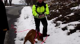Search and rescue training K - 9