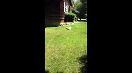 One too many