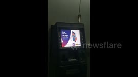 Indian man finds cobra on top of ATM machine