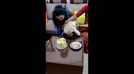 Cute moment a cat cuts a birthday cake to celebrate its 3rd birthday