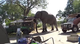 Huge elephant raids Land Rover and then tries to flip it