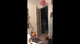 Cat delivers a message