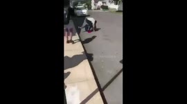 Bully gets what she was looking for