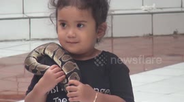 4-year-old girl seen handling live pythons at reptile show in Indonesia