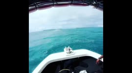 Take a boat to german channel