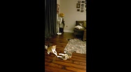 A Tale of Two Tails