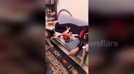 Jealous husky drags puppy son away from owner so he can get special seat