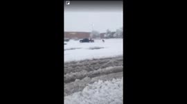 Snow ride in grocery cart.
