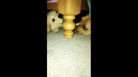 Monsters under the bed ARE real