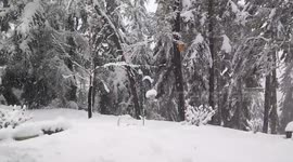 Freak Snow Storm Stands Thosands Without Power