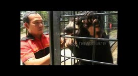 Rare animals in Indonesia rescued from being hunted and sold on the black market