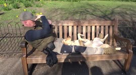 Dog sunbathes belly-up in London park as capital hit by hottest February days on record