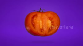 These stop-motion cross sections of food are oddly mesmerising