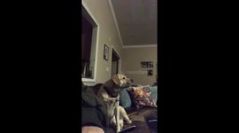 Someone misses football...