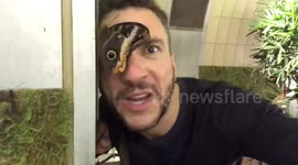 Missing Carnival? Try using a butterfly for a mask!