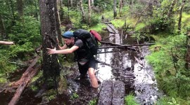 Falling in a swamp! Hilarious!