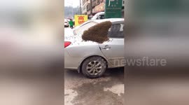 Tens of thousands of bees swarm over car in China’s Sichuan