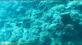 Red Sea