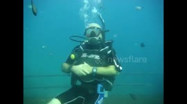 Red Sea