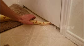 Snake Learns About Round Block Square Hole Theory