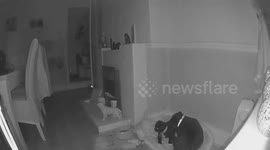 GHOST ACTIVITY CAUGHT ON CCTV