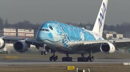 AIRBUS A380 in a TURTLE LIVERY departs at Airbus Factory Hamburg Finkenwerder