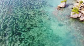 Padang Padang Beach Drone shot