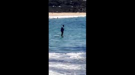 Man falls while paddle boating