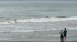 Police Members Save the Life of Children Dragged by Waves