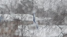 flag day in Finland, slushy snow weather