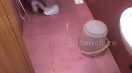 Holiday horror - toilet broken in hotel room