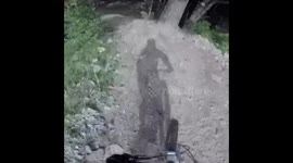 Downhill Mountain Biker Rides Trails
