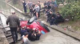 Good Samaritans rescue driver trapped in car flipped into river
