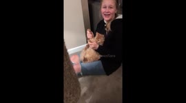 Dancing cat