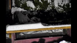 4 1/2 snow time-lapse = 0:55 seconds version