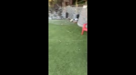2 year old and a ball collide