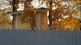 small town stroll, passing by an outhouse small storage building behind white wooden fence, Autumn trees