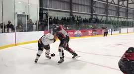 Hockey Fights