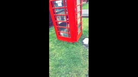 World book day at the phone box