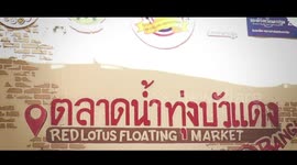Beautiful lake of pink lotus flowers in Thailand (With royalty free music)