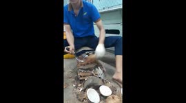 The man took the coconut copra very quickly