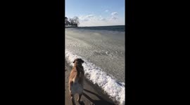 Frozen waves lap at Connecticut coastline